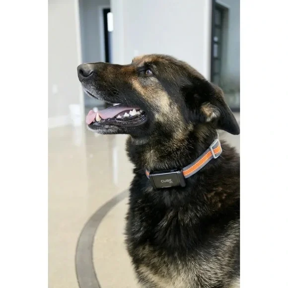 BNIB Cube Vehicle and Pet GPS Tracker C7004 - Picture 6 of 12